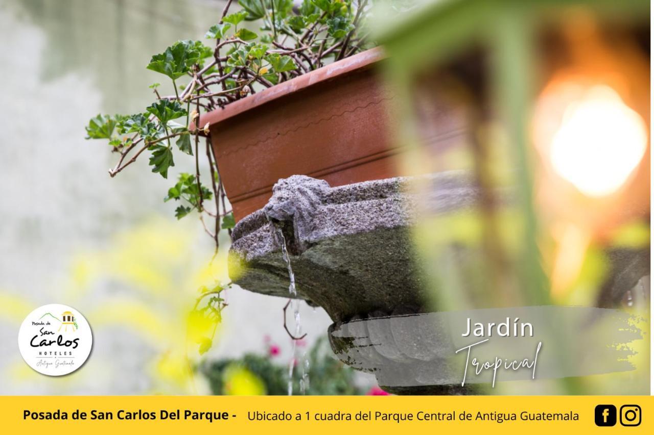 Posada De San Carlos Del Parque 危地马拉安地瓜 外观 照片